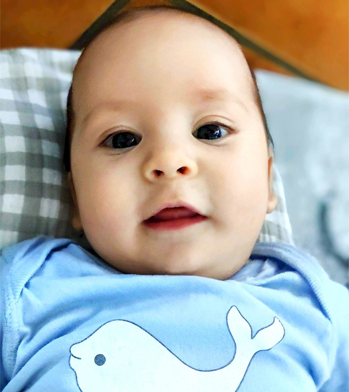 Baby Beluga, Blue Space Diving Calvi