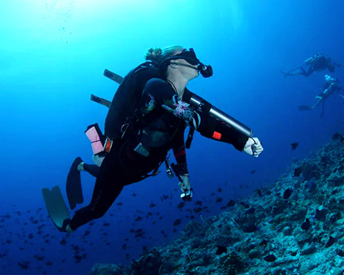 Jouez avec notre subnado
