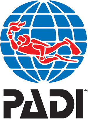 Logo Padi